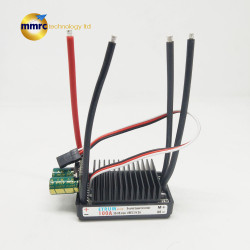 ETRUM Brushed ESC 100A