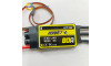 Hornet 80A Brushless ESC