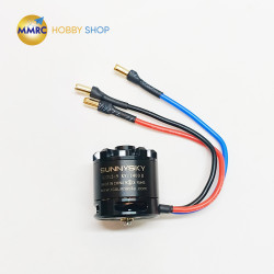 Sunnysky X2212-9 1400KV II Motor